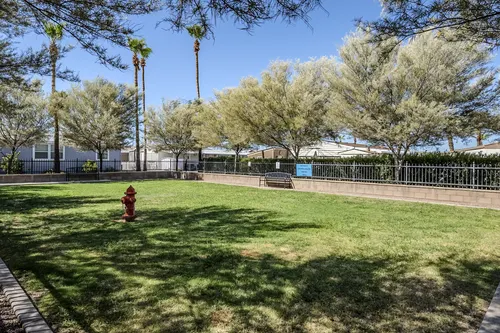Lost Dutchman in Apache Junction, Arizona