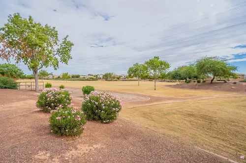 Cambridge Estates in Avondale, Arizona