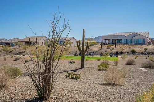 Sun City Festival in Buckeye, Arizona
