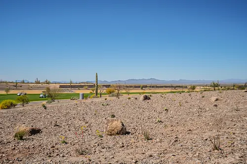 Sun City Festival in Buckeye, Arizona