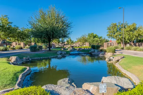 Arden Park in Chandler, Arizona