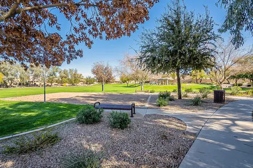 Ashley Park in Chandler, Arizona