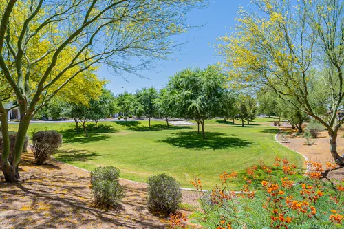 Avian Trails in Chandler, Arizona