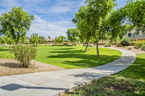 Carino Estates in Chandler, Arizona