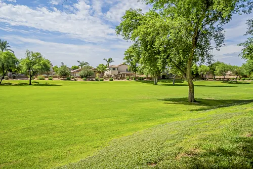 Carino Estates in Chandler, Arizona