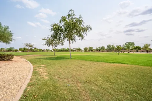 Carino Estates in Chandler, Arizona