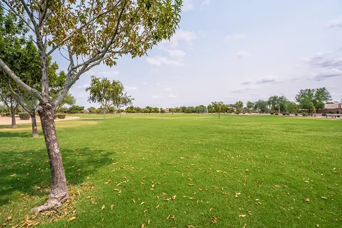 Carino Estates in Chandler, Arizona
