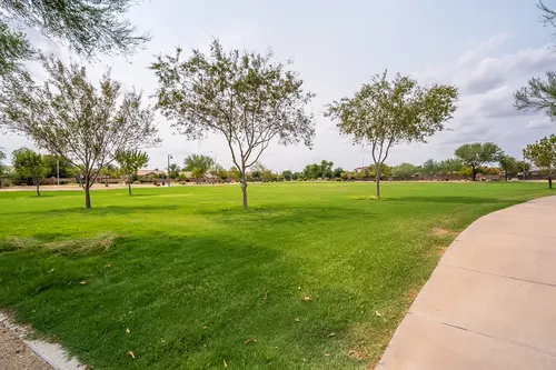 Carino Estates in Chandler, Arizona