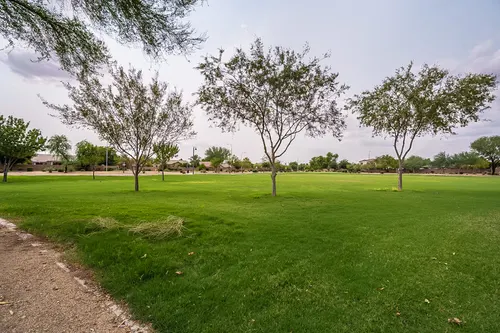Carino Estates in Chandler, Arizona