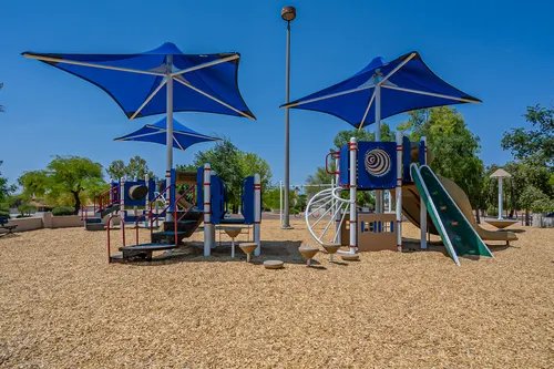 Carriage in Chandler, Arizona