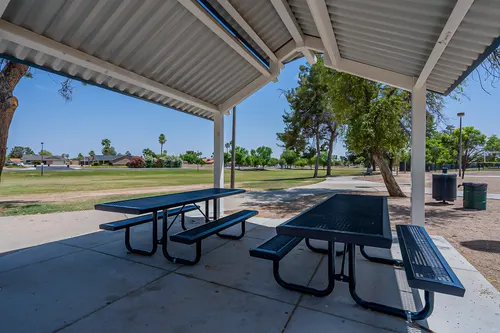 Carriage in Chandler, Arizona