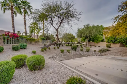 Carrizal in Chandler, Arizona