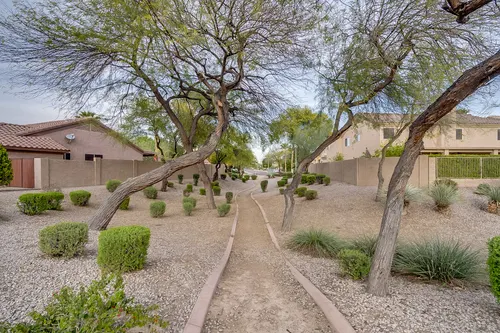 Carrizal in Chandler, Arizona