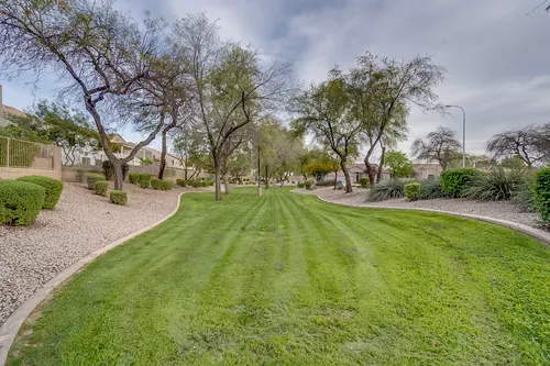 Carrizal in Chandler, Arizona