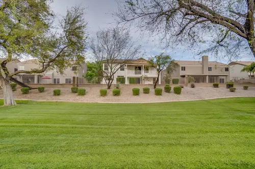 Carrizal in Chandler, Arizona