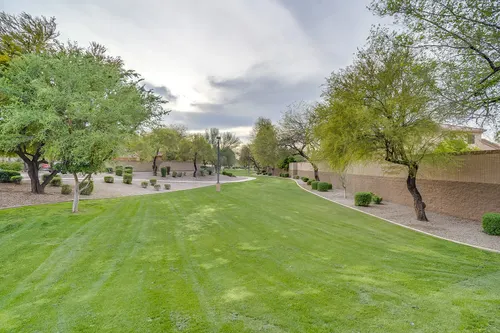 Carrizal in Chandler, Arizona
