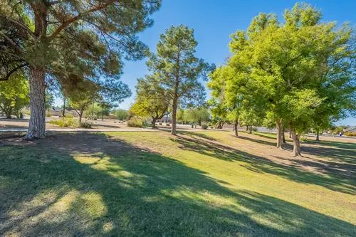 Harter Park in Chandler, Arizona