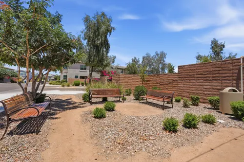 Mariposa in Chandler, Arizona