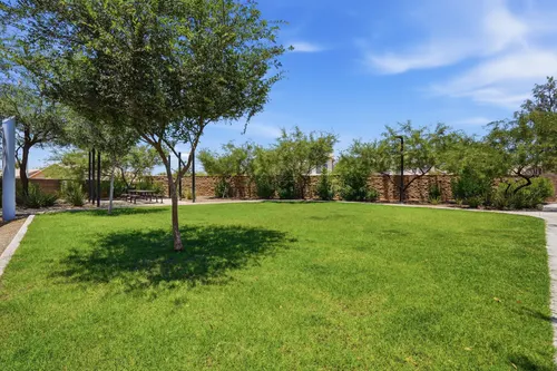 Mariposa in Chandler, Arizona
