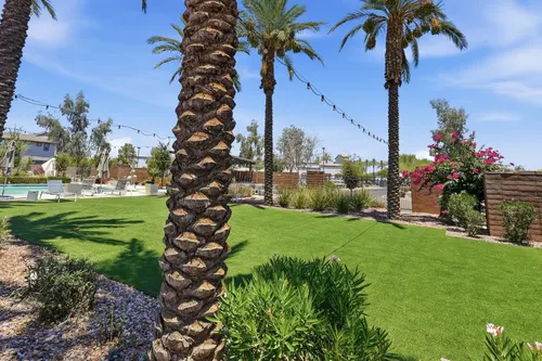 Mariposa in Chandler, Arizona