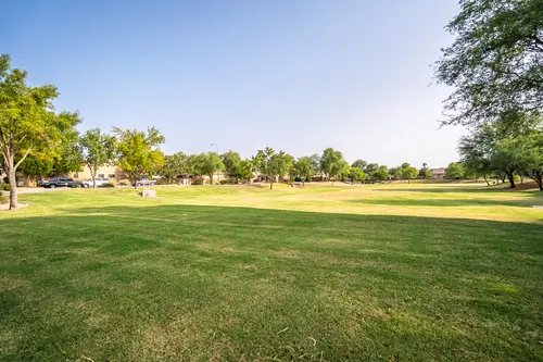 Peterson Farms in Chandler, Arizona
