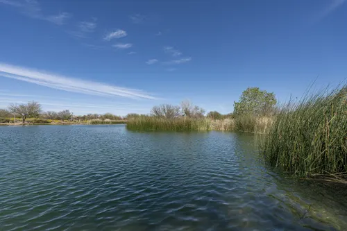 Riggs Ranch Meadows in Chandler, Arizona