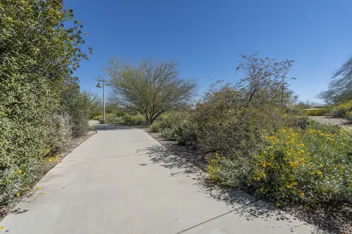 Riggs Ranch Meadows in Chandler, Arizona