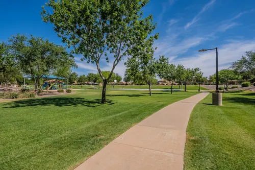 Sienna in Chandler, Arizona