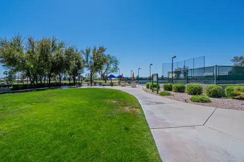 Springfield in Chandler, Arizona
