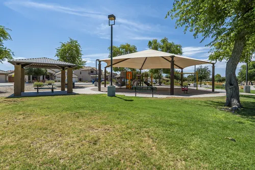Sun Groves in Chandler, Arizona