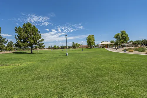 Sun Groves in Chandler, Arizona