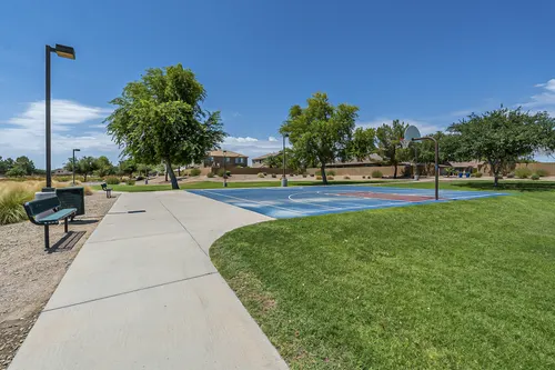Sun Groves in Chandler, Arizona
