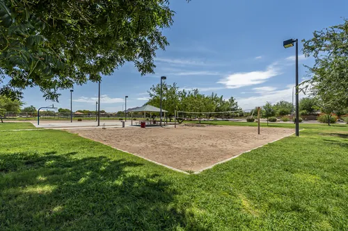 Sun Groves in Chandler, Arizona