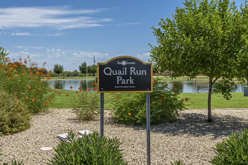 Sun Groves in Chandler, Arizona