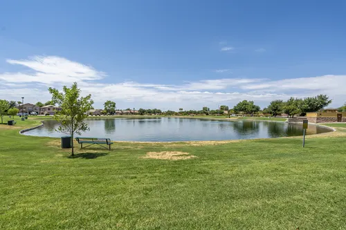 Sun Groves in Chandler, Arizona