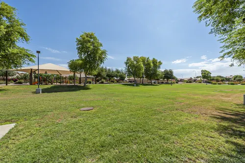 Sun Groves in Chandler, Arizona