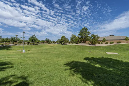 Sun Groves in Chandler, Arizona