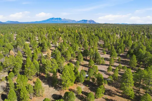 Mountainaire in Flagstaff, Arizona