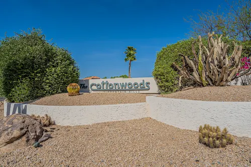 Cotton Woods in Fountain Hills, Arizona