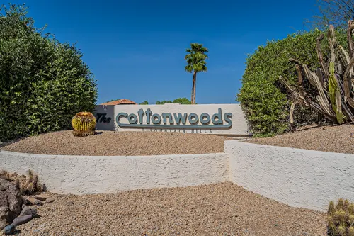 Cotton Woods in Fountain Hills, Arizona