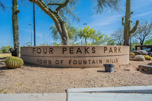 Cotton Woods in Fountain Hills, Arizona
