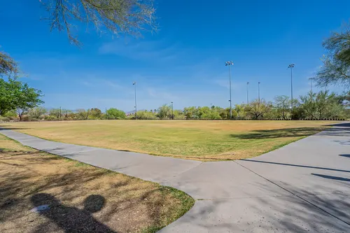 Cotton Woods in Fountain Hills, Arizona