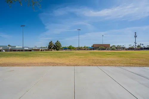 Cotton Woods in Fountain Hills, Arizona