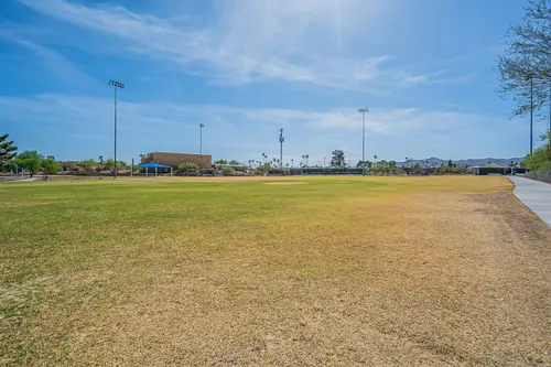 Cotton Woods in Fountain Hills, Arizona