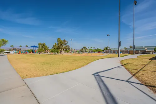 Cotton Woods in Fountain Hills, Arizona