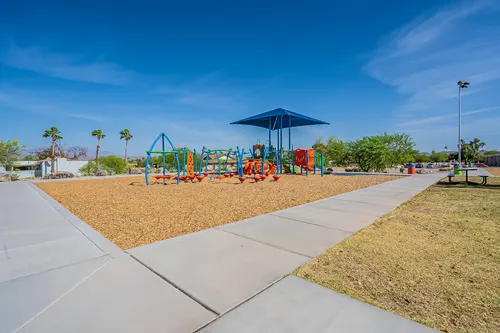 Cotton Woods in Fountain Hills, Arizona