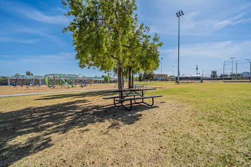 Cotton Woods in Fountain Hills, Arizona