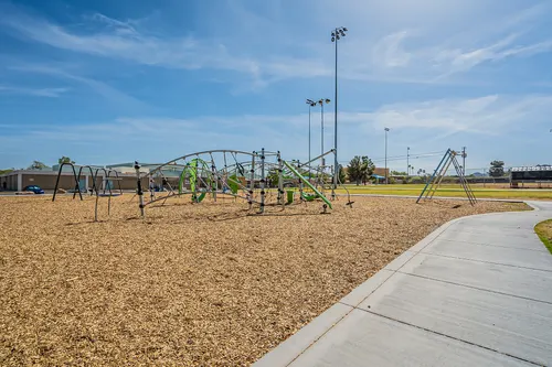 Cotton Woods in Fountain Hills, Arizona
