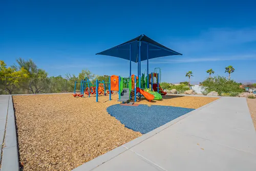 Cotton Woods in Fountain Hills, Arizona