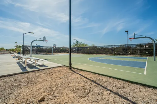 Cotton Woods in Fountain Hills, Arizona